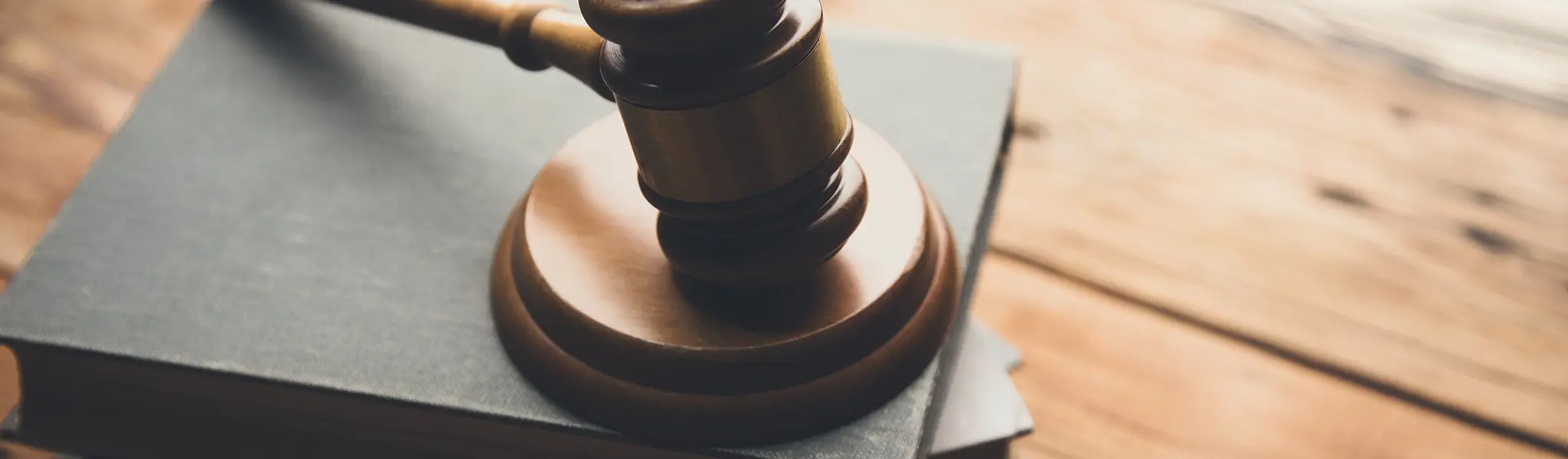 Mauracover Adobestock 409884394 (1)